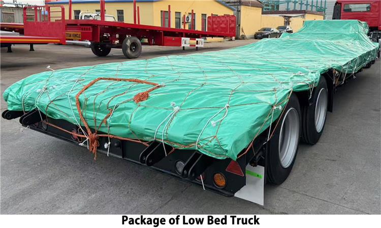Super Doll Low Bed Truck Trailer for Sale In Tanzania - Super Doll Trailer Manufacture Co Ltd